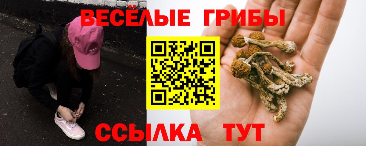 Псилоцибиновые грибы прущие грибы  Вход с VPN  Вольск 